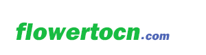 flowertocn.com